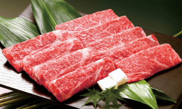Kobe Beef :KING OF MEAT