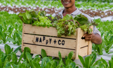 Goodness never tasted so good