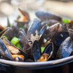 SNAILS & MUSSELS & CLAMS Oh My!