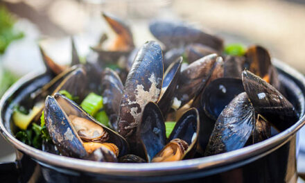 SNAILS & MUSSELS & CLAMS Oh My!